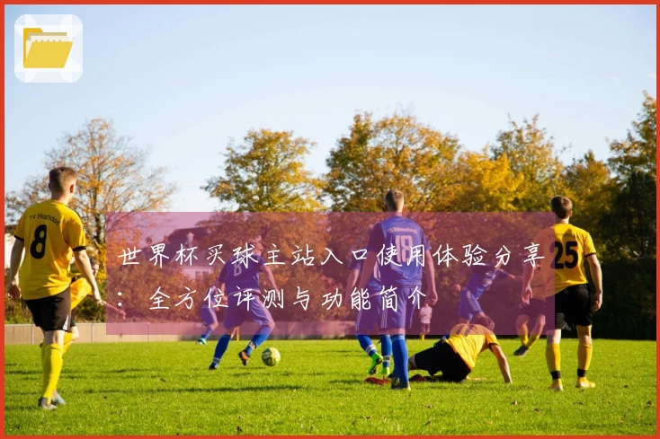 世界杯买球主站入口使用体验分享：全方位评测与功能简介